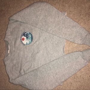 Pac sun crop hoodie one size